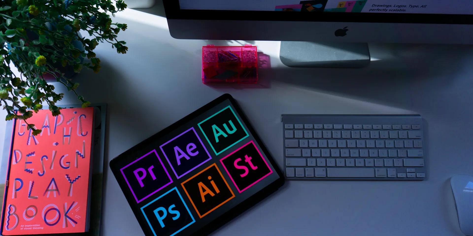 Logo & Brand Identity